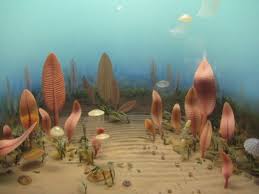 Image result for ediacaran period animals